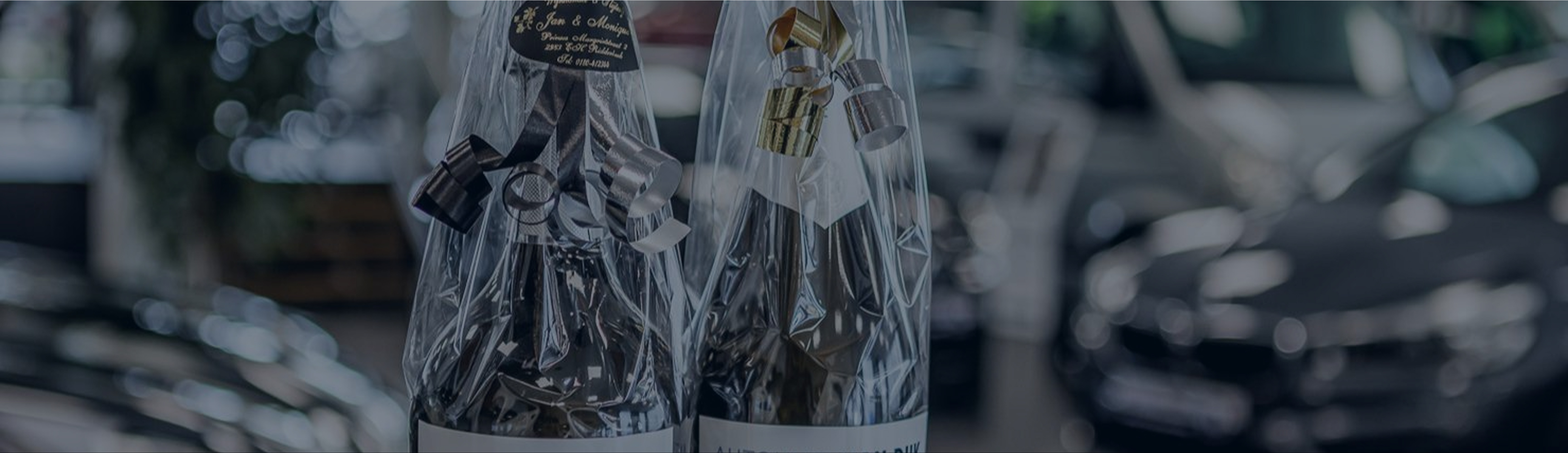 Header Image 1