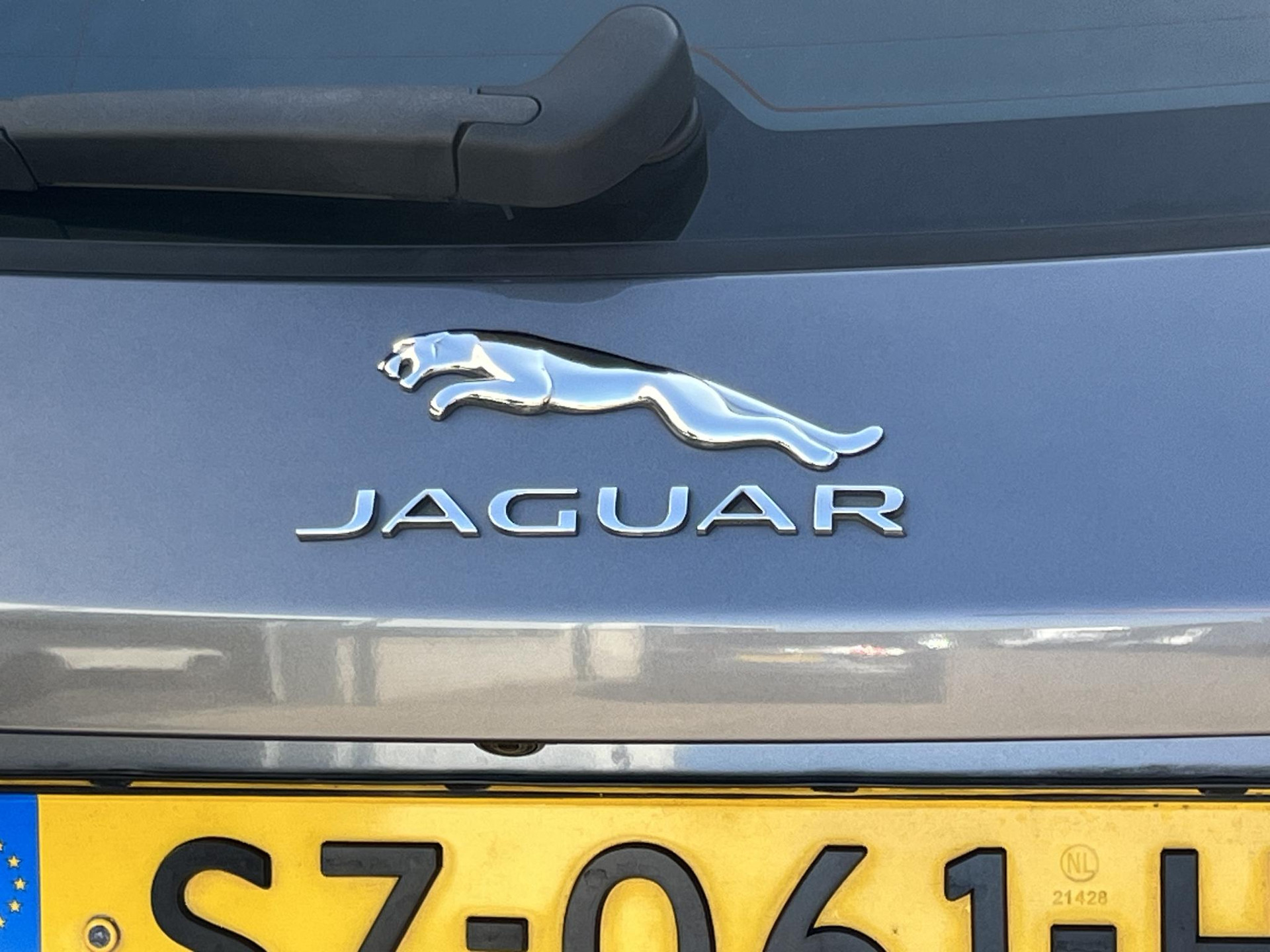 47755833-41.jpg