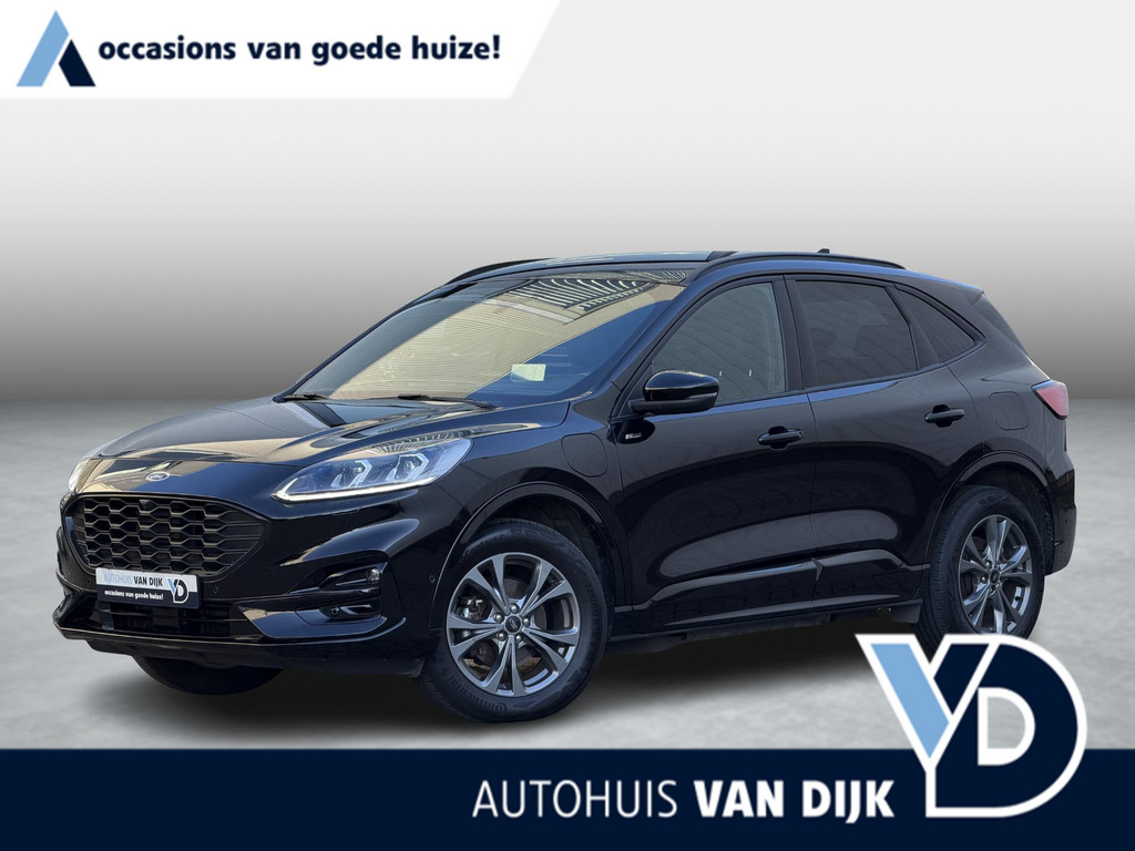 48564139-81.jpg