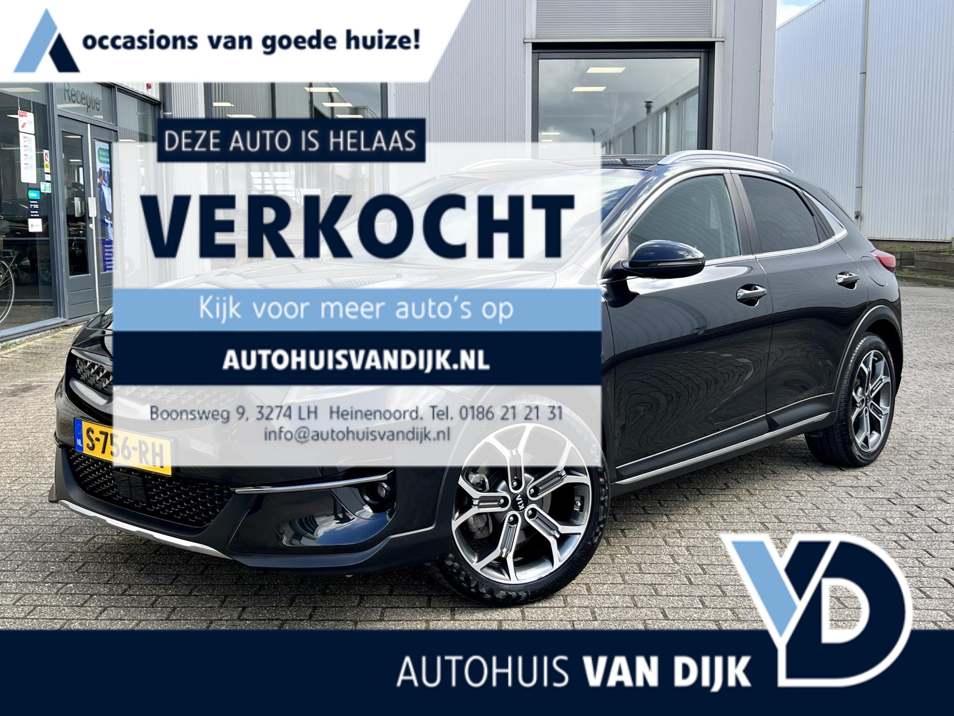 33641137